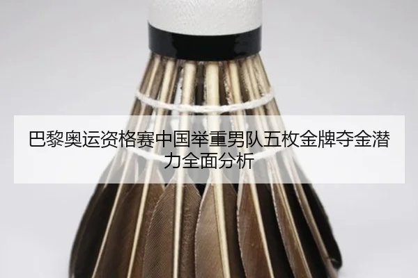 ba-li-ao-yun-zi-ge-sai-zhong-guo-ju-zhong-nan-dui-wu-mei-jin-pai-duo-jin-qian-li-quan-mian-fen-xi-2-635.jpg